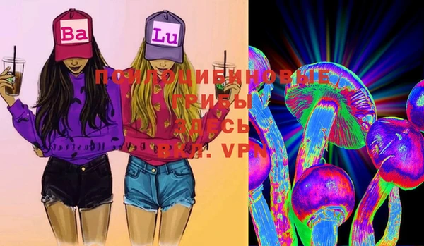 стафф Осинники