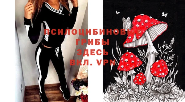 мдпв Арсеньев