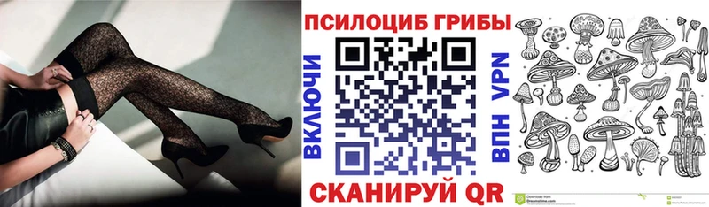 Галлюциногенные грибы прущие грибы  хочу   кракен как войти  Куса 